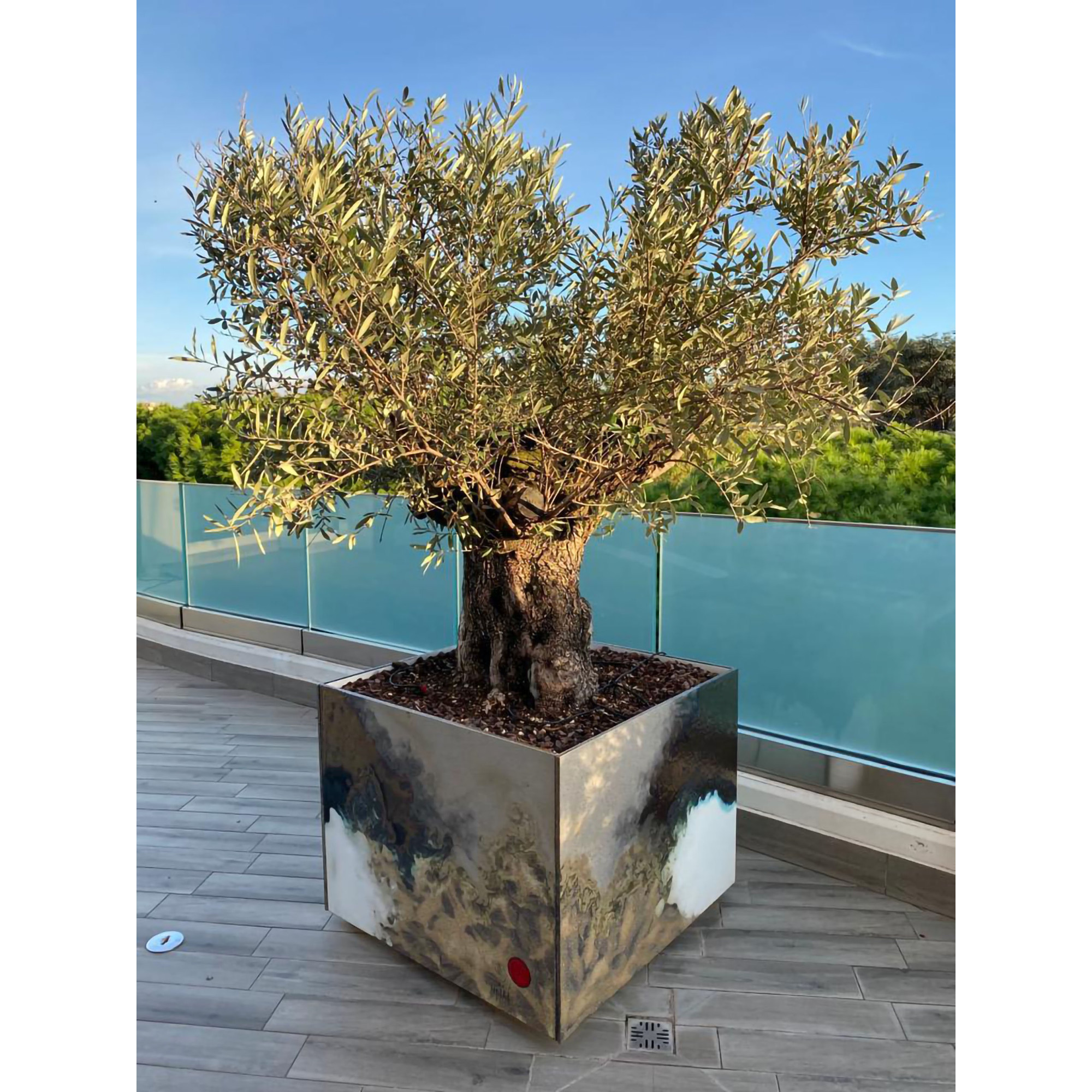 DOMIZIANI PLANTER, by DOMIZIANI