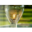 MEDUZ floor lamp by Royal Botania