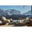 ROÈ armchair by Fast