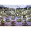 GREEN PILLS planter by Serralunga