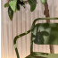LIBRE dining chair by Pedrali