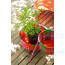 JARDIN SUSPENDU vase series by Moroso