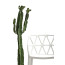 ALCHEMIA CB/1056 chair by Connubia