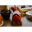 KROKO armchair by Slide