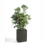 FENCE garden pot by Serralunga