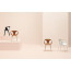 FOX 3727 armchair by Pedrali