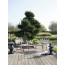 INOUT 856 lounge chair by Gervasoni Outdoor