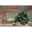 GRIANTE armchair by Pedrali