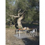 BE-EASY SLATTED bench by Kristalia