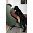 DUA RELAX armchair by Kristalia