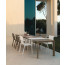 MILO dining armchair by Talenti