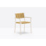 NUOVA GUINEA dining chair by Pedrali