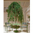 NUOVA GUINEA dining chair by Pedrali