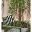 NUOVA GUINEA dining chair by Pedralili