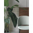 POLO 34.64R chair by Bontempi Casa