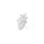 LOVE IN BLOOM vase by Seletti.