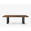 NEWTON EXTRA NATURAL SIDES table by Riva 1920